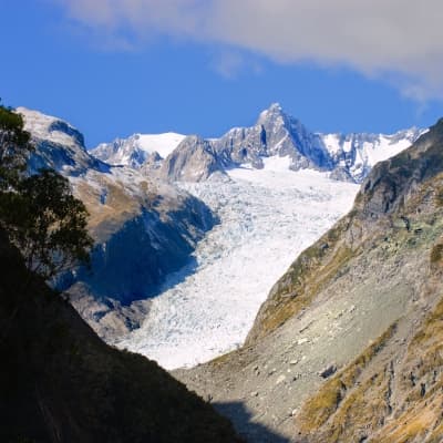 Exploration de Fox Glacier