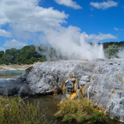 Whakarewa Thermal Village