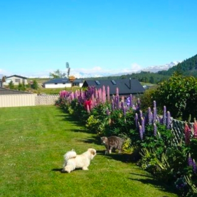 Hotel Tekapo