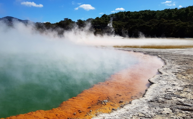 Geysers et sources chaudes à Rotorua 