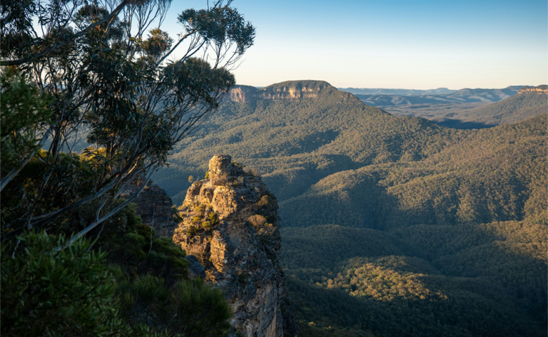 Il était une fois Sydney